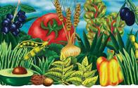 A Garden Variety