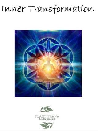 Plant Prana Houston Event Inner Transformation July 17-19, 2020