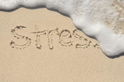 ACWB Inc Anti-Stress Formula